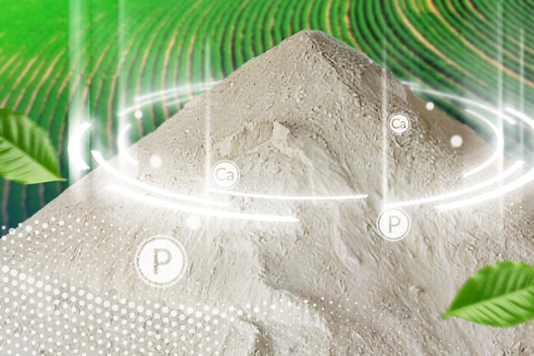 Pagina FosFactor PRO produto